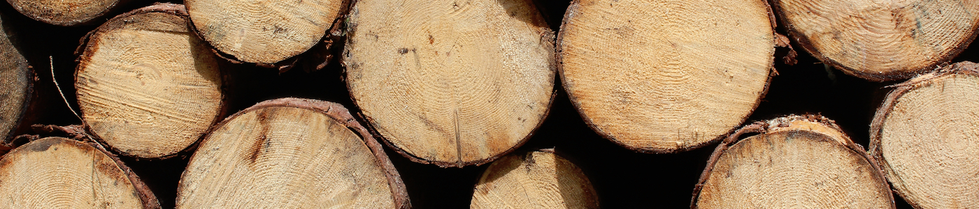 Emergency First Aid For Forestry (EFAW+F)